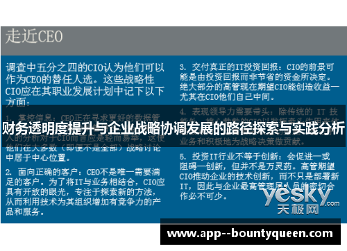 财务透明度提升与企业战略协调发展的路径探索与实践分析 财务透明度提升与企业战略协调发展的路径探索与实践分析